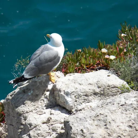 With Direct Access To The Sea Salou